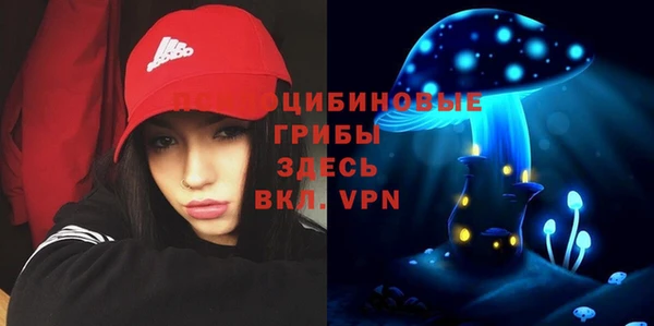 ГАЛЛЮЦИНОГЕННЫЕ ГРИБЫ Алексеевка