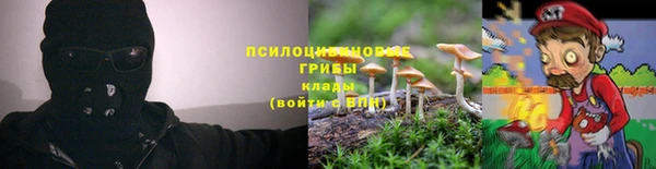 ГАЛЛЮЦИНОГЕННЫЕ ГРИБЫ Алексеевка