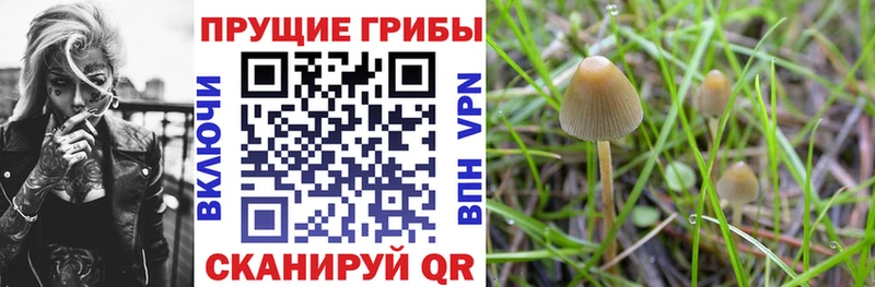 Галлюциногенные грибы прущие грибы Ардон